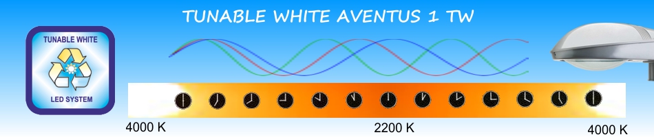 TUNABLE WHITE AVENTUS 1 TW